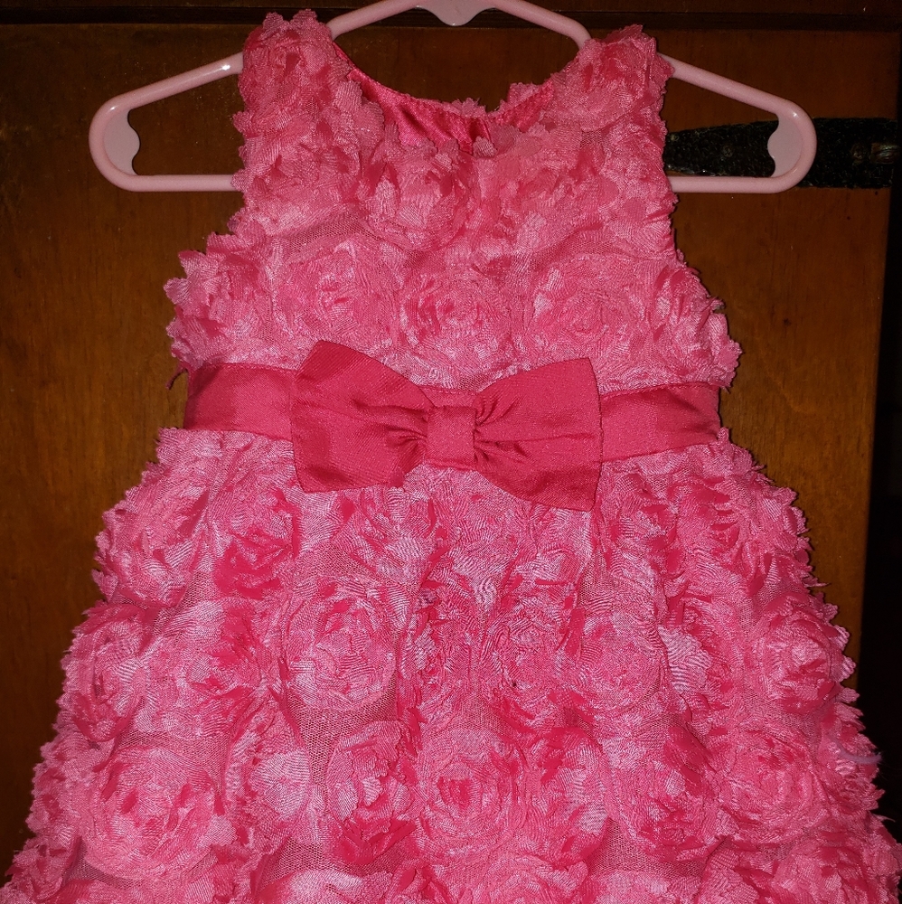Beautiful elegant Pink flower Dress With Big Bow